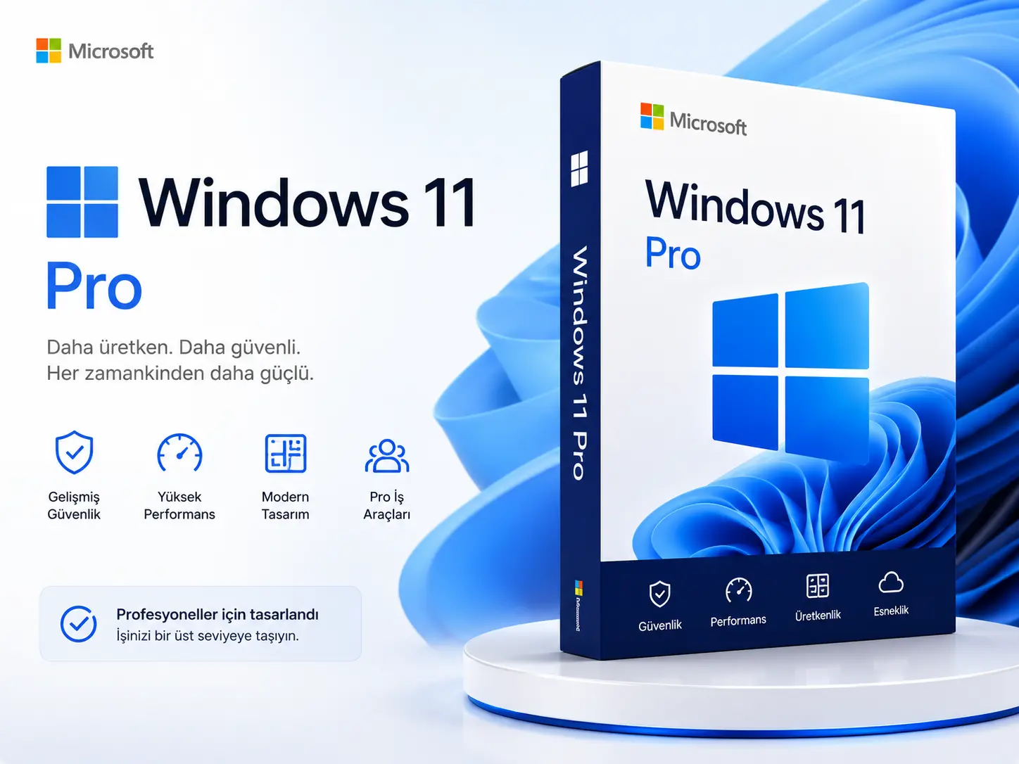 Windows 10 Pro